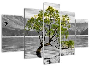 Obraz stromu uprostred jazera (150x105 cm)