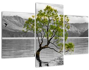 Obraz stromu uprostred jazera (90x60 cm)
