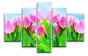 Sablio Obraz - 5-dílný Ružové tulipány - 125x90 cm