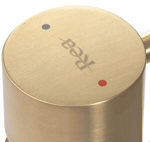 Rea TESS - Vysoká umývadlová batéria, Zlatá matná, REA-B5660