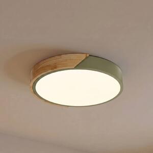 PRIOS Stropné LED svetlo Lynorri, Ø 32 cm, zelené, drevený dekor, Zelená, Obývacia izba / jedáleň, Plast, Moderný, Závesné svietidlo