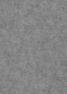 DIMEX | Vliesová tapeta na stenu 1047329V | 0,53 x 10,05 m | šedá, metalická