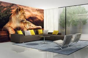 Samolepiaca vliesová fototapeta Levice pri západe slnka 375 x 250 cm