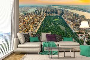 Samolepiaca vliesová fototapeta New York Central Park 375 x 250 cm