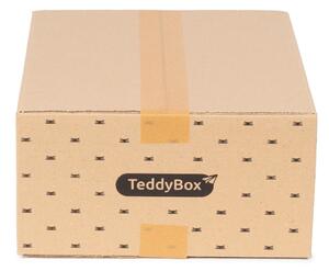 Súprava 3 béžových úložných boxov Compactor Teddy, 35 x 15 cm
