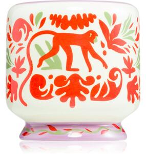 Paddywax A Dopo Jungle vonná sviečka 226 g