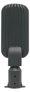 LED pouličné svietidlo BRELUXO LED/50W/230V 4000K IP65
