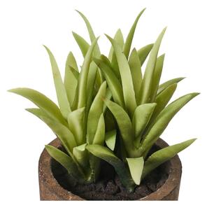 Umelé rastliny v súprave 4 ks (výška 10 cm) Cactus – Casa Selección