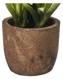 Umelé rastliny v súprave 4 ks (výška 10 cm) Cactus – Casa Selección