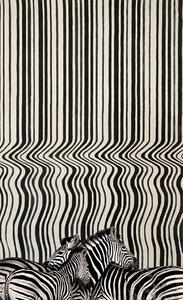 Koberec kusový Carpet Decor Handmade - DRAFT BLACK Rozmer koberca: 160x230 cm