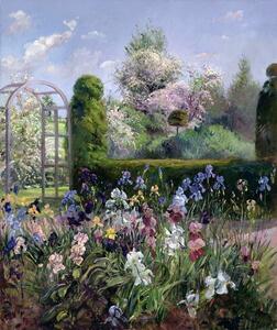 Timothy Easton - Obrazová reprodukcia Irises in the Formal Gardens, 1993, (35 x 40 cm)