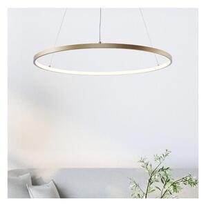 Zuma Line 2023201-GD80 - LED Luster na lanku BRENO LED/36W/230V 3000/4000/6000K