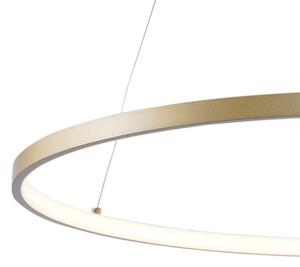 Zuma Line 2023201-GD60 - LED Luster na lanku BRENO LED/28W/230V 3000/4000/6000K