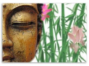 Obraz na plátne Budha s bambusmi Rozmery: 60 x 40 cm