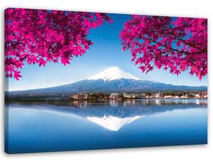 Obraz na plátne Hora Fuji, jazero a ružové listy Rozmery: 60 x 40 cm