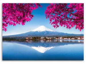 Obraz na plátne Hora Fuji, jazero a ružové listy Rozmery: 60 x 40 cm