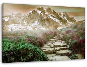 Obraz na plátne Kamenná cesta na vrchol Rozmery: 60 x 40 cm
