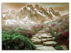 Obraz na plátne Kamenná cesta na vrchol Rozmery: 60 x 40 cm