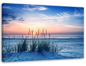 Obraz na plátne Trávy na pláži Rozmery: 60 x 40 cm