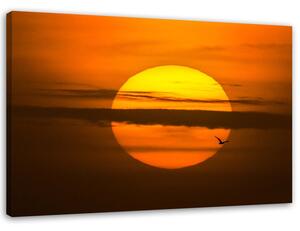 Obraz na plátne Západ slnka Rozmery: 60 x 40 cm