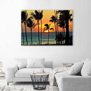 Obraz na plátne Palmy pri západe slnka Rozmery: 60 x 40 cm