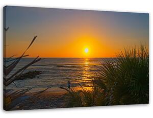 Obraz na plátne Rybár a západ slnka Rozmery: 60 x 40 cm