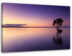 Obraz na plátne Osamelý strom na jazere Rozmery: 60 x 40 cm