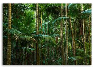 Obraz na plátne Zelené palmy Rozmery: 60 x 40 cm