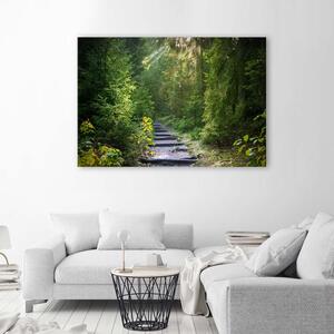 Obraz na plátne Cesta v zelenom lese Rozmery: 60 x 40 cm