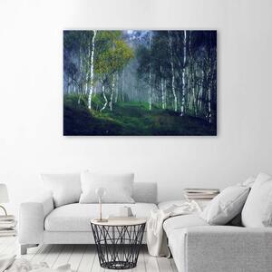 Obraz na plátne Brezy v hmle Rozmery: 60 x 40 cm