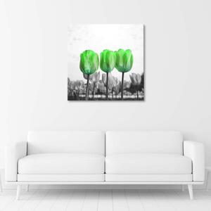 Obraz na plátne Zelené tulipány na lúke Rozmery: 30 x 30 cm
