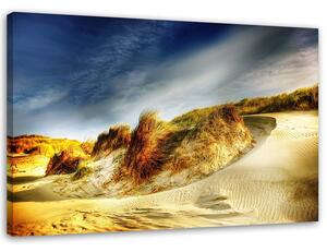 Obraz na plátne Duny Rozmery: 60 x 40 cm