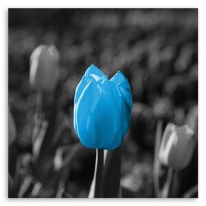Obraz na plátne Modré tulipány v sivej farbe Rozmery: 30 x 30 cm