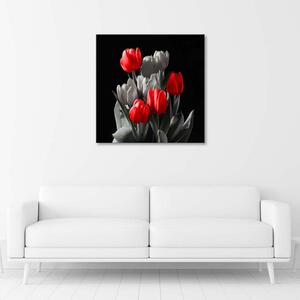 Obraz na plátne Kytica červených tulipánov Rozmery: 30 x 30 cm