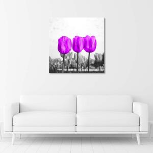 Obraz na plátne Fialové tulipány Rozmery: 30 x 30 cm