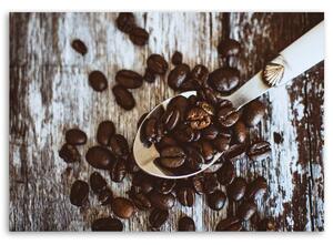 Obraz Kávové zrná na lyžičke Rozmery: 100 x 70 cm, Prevedenie: Obraz na plátne