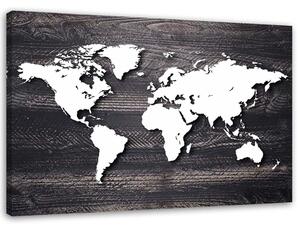 Obraz na plátne Mapa sveta na sivom dreve Rozmery: 60 x 40 cm