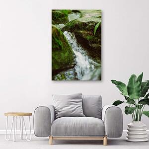 Obraz na plátne Rieka Rushing Rozmery: 40 x 60 cm