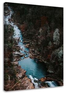 Obraz na plátne Rieka v lese Rozmery: 40 x 60 cm