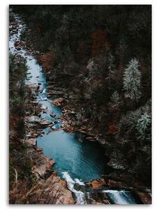 Obraz na plátne Rieka v lese Rozmery: 40 x 60 cm