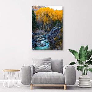Obraz na plátne Potok v lese Rozmery: 40 x 60 cm