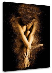 Obraz na plátne Nahé ženské telo v zlatom prachu Rozmery: 40 x 60 cm