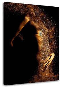 Obraz na plátne Ženský akt v zlatom prachu Rozmery: 40 x 60 cm