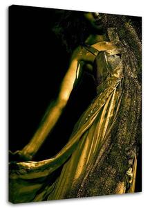 Obraz na plátne Žena v zlatom prachu Rozmery: 40 x 60 cm