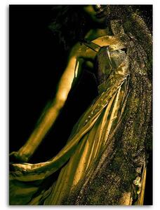 Obraz na plátne Žena v zlatom prachu Rozmery: 40 x 60 cm