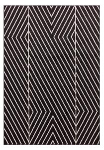 Čierno-biely koberec 120x170 cm Muse – Asiatic Carpets