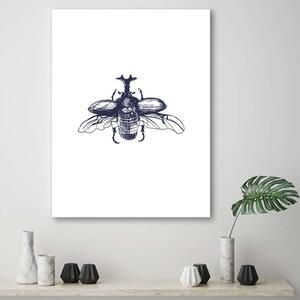 Obraz na plátne Lietajúci chrobák Rozmery: 40 x 60 cm