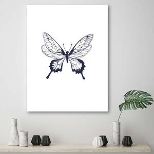 Obraz na plátne Nakreslený motýľ Rozmery: 40 x 60 cm