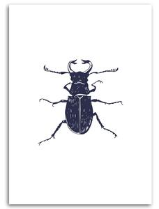 Obraz na plátne Čierny chrobák Rozmery: 40 x 60 cm