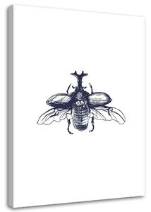 Obraz na plátne Lietajúci chrobák Rozmery: 40 x 60 cm